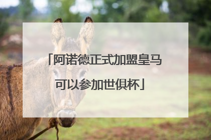 阿诺德正式加盟皇马 可以参加世俱杯