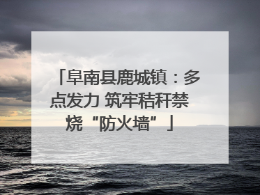 阜南县鹿城镇：多点发力 筑牢秸秆禁烧“防火墙”