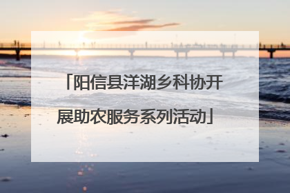 阳信县洋湖乡科协开展助农服务系列活动
