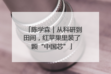 陈学森｜从科研到田间，红苹果里装了颗“中国芯”