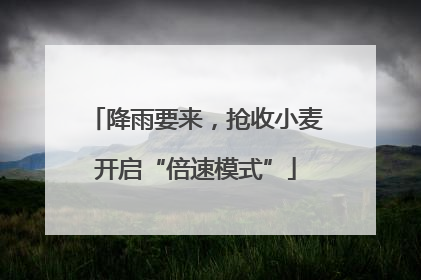 降雨要来，抢收小麦开启“倍速模式”