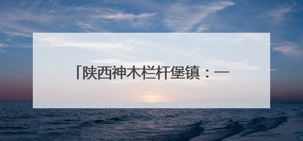 陕西神木栏杆堡镇：一垄瓜苗一垄药香 特色种植激活乡村振兴新动能