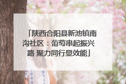 陕西合阳县新池镇南沟社区：葡萄串起振兴路 聚力同行显效能