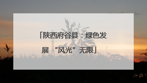 陕西府谷县：绿色发展 “风光”无限