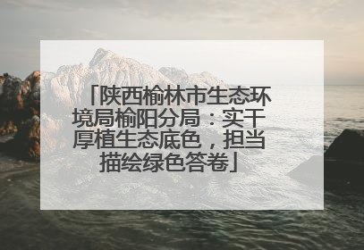 陕西榆林市生态环境局榆阳分局：实干厚植生态底色，担当描绘绿色答卷