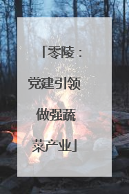 零陵：党建引领 做强蔬菜产业