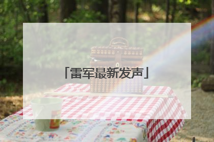 雷军最新发声