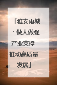 雅安雨城：做大做强产业支撑 推动高质量发展
