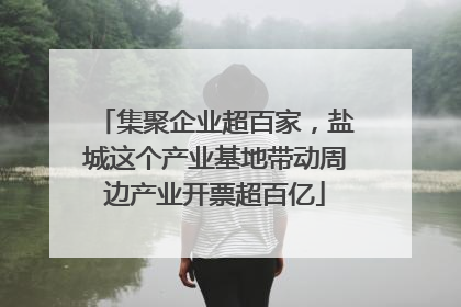 集聚企业超百家，盐城这个产业基地带动周边产业开票超百亿