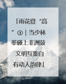 雨花登“高”③｜当少林拳碰上非洲鼓 文明互鉴自有动人韵律