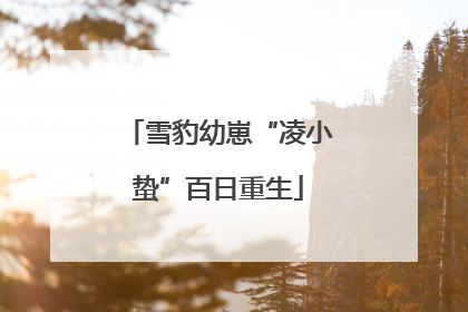 雪豹幼崽“凌小蛰”百日重生