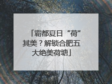 霸都夏日“荷”其美？解锁合肥五大绝美荷塘