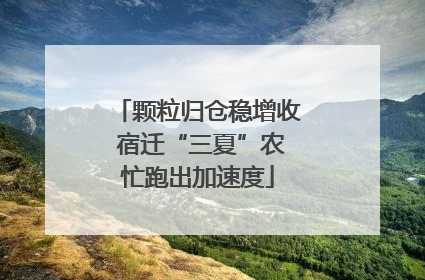 颗粒归仓稳增收 宿迁“三夏”农忙跑出加速度