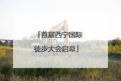 首届西宁国际徒步大会启幕