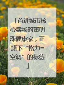 首进城市核心卖场的董明珠健康家，正撕下“格力=空调”的标签