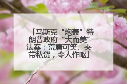 马斯克“炮轰”特朗普政府“大而美”法案：荒唐可笑、夹带私货，令人作呕