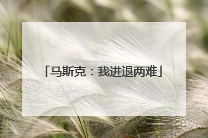 马斯克：我进退两难
