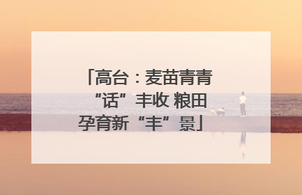 高台：麦苗青青“话”丰收 粮田孕育新“丰”景