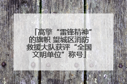 高擎“雷锋精神”的旗帜 望城区消防救援大队获评“全国文明单位”称号