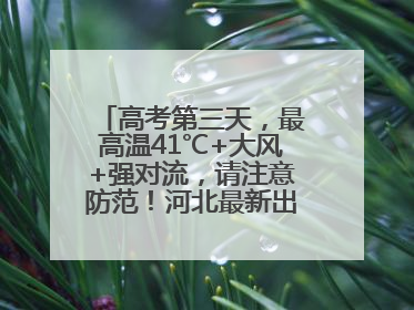 高考第三天，最高温41℃+大风+强对流，请注意防范！河北最新出行信息→