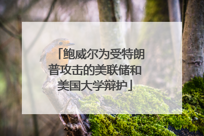 鲍威尔为受特朗普攻击的美联储和美国大学辩护