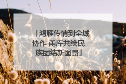 鸿雁传情到全域协作 甬库共绘民族团结新图景