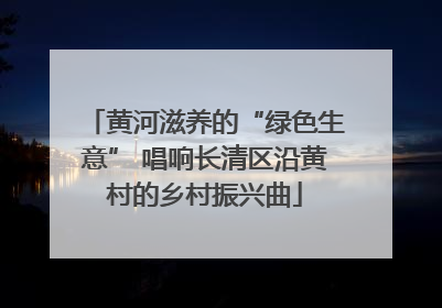 黄河滋养的“绿色生意” 唱响长清区沿黄村的乡村振兴曲