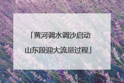 黄河调水调沙启动 山东段迎大流量过程