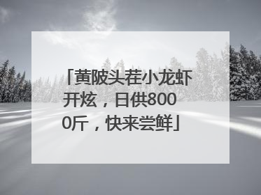 黄陂头茬小龙虾开炫，日供8000斤，快来尝鲜