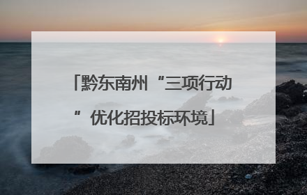 黔东南州“三项行动”优化招投标环境