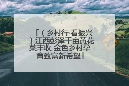 （乡村行·看振兴）江西彭泽千亩黄花菜丰收 金色乡村孕育致富新希望