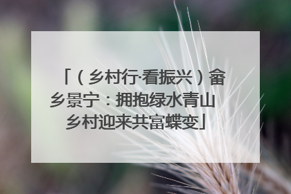 （乡村行·看振兴）畲乡景宁：拥抱绿水青山 乡村迎来共富蝶变