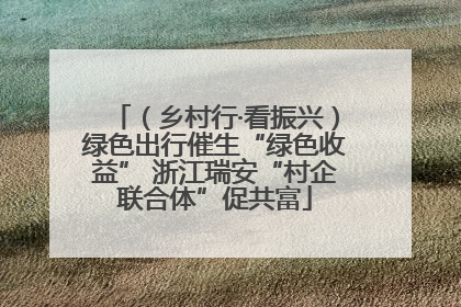 （乡村行·看振兴）绿色出行催生“绿色收益” 浙江瑞安“村企联合体”促共富