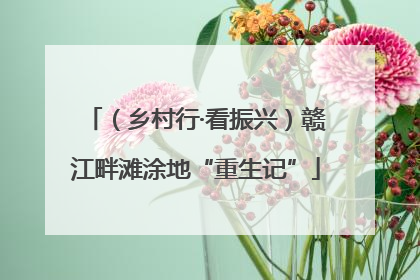 （乡村行·看振兴）赣江畔滩涂地“重生记”