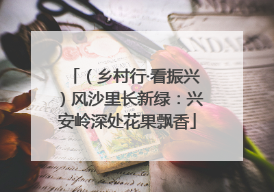 （乡村行·看振兴）风沙里长新绿：兴安岭深处花果飘香