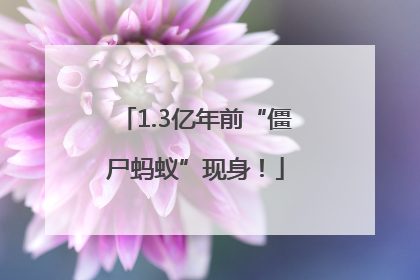 1.3亿年前“僵尸蚂蚁”现身！