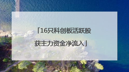 16只科创板活跃股获主力资金净流入