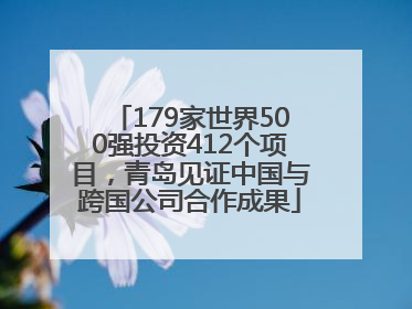179家世界500强投资412个项目，青岛见证中国与跨国公司合作成果