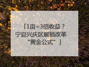 1亩=3倍收益？宁夏兴庆区解锁改革“黄金公式”