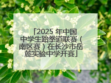 2025 年中国中学生跆拳道联赛（南区赛）在长沙市岳麓实验中学开赛