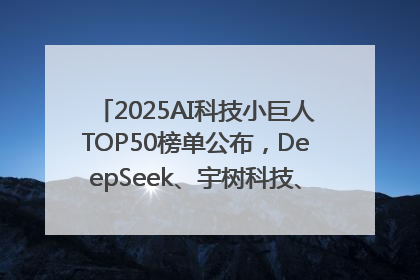 2025AI科技小巨人TOP50榜单公布，DeepSeek、宇树科技、蘑菇车联等企业荣誉上榜