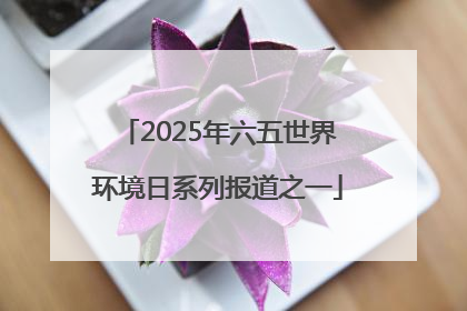 2025年六五世界环境日系列报道之一