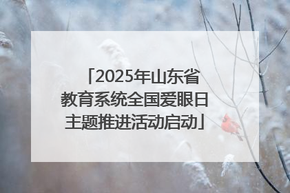 2025年山东省教育系统全国爱眼日主题推进活动启动