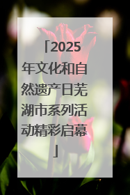 2025年文化和自然遗产日芜湖市系列活动精彩启幕