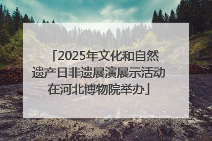2025年文化和自然遗产日非遗展演展示活动在河北博物院举办