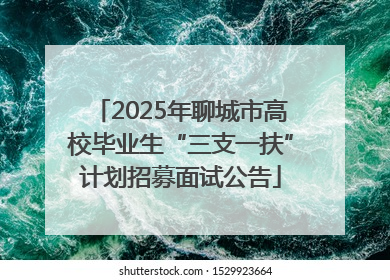 2025年聊城市高校毕业生“三支一扶”计划招募面试公告