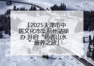 2025天津市中医文化市集蓟州站举办 开启“药香山水”康养之旅