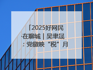 2025好网民·在聊城｜吴聿晟：党徽映“税”月 网播传政声