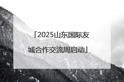 2025山东国际友城合作交流周启动