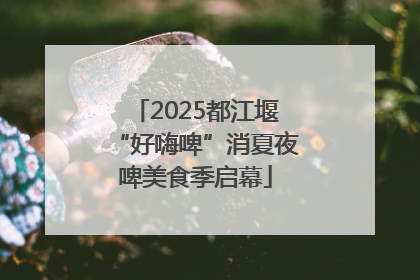 2025都江堰“好嗨啤”消夏夜啤美食季启幕